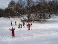 IMG_2232.JPG