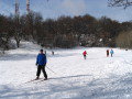 IMG_2247.JPG
