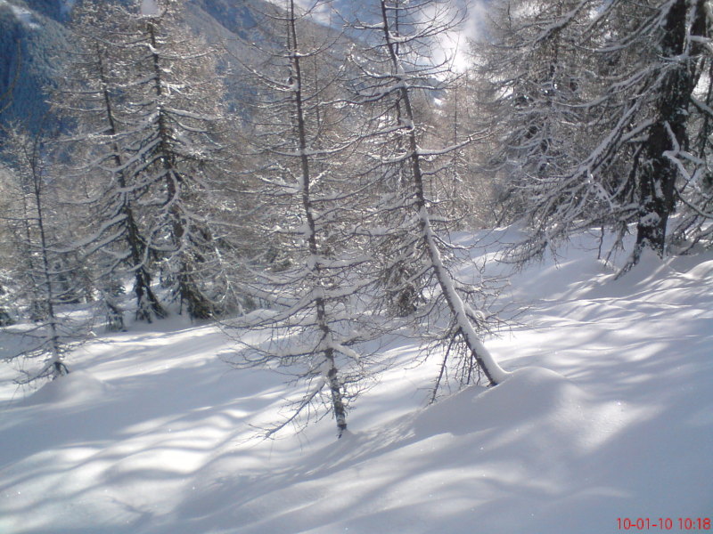 DSC00015.JPG