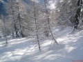 DSC00015.JPG