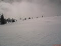 DSC00016.JPG