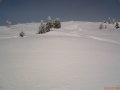 DSC00018.JPG