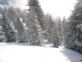 DSC00021.JPG