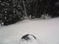 DSC00025.JPG