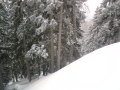 DSC00026.JPG