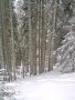 DSC00029.JPG