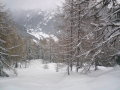 DSC00037.JPG