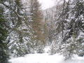 DSC00039.JPG