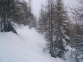 DSC00040.JPG