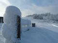 S�park Szezonkezdet (2009. december 19.)&nbsp;(18 k�p)