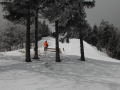 Kojsovska Hola - Skipark Erika&nbsp;(9 k�p)