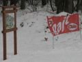 IMG-3099-km-Verseny-20100130.jpg