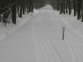 IMG-3170-km-3-as-palya-2010211.jpg
