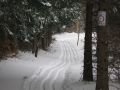 IMG-3178-km-Erdoben-20100212.jpg