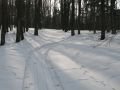 IMG-3190-km-3-as-palya-20100213.jpg
