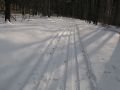 IMG-3193-km-3-as-p-Tolvaj-arok-20100213.jpg
