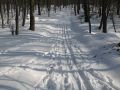 IMG-3199-km-4-es-palya-20100214.jpg