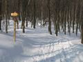 IMG-3201-km-3-as-palya-20100214.jpg