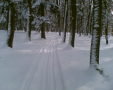 Kep019-tel-1-es-palya-20100123.jpg