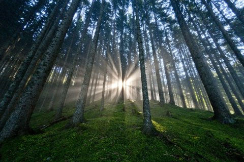 © Steiermark Tourismus / ikarus.cc