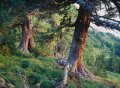St�jerorsz�g erd�i&nbsp;(8 k�p)