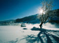 stajerorszag008.jpg