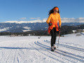 stajerorszag-200910.jpg
