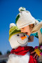 Forr�s: Steiermark Tourismus