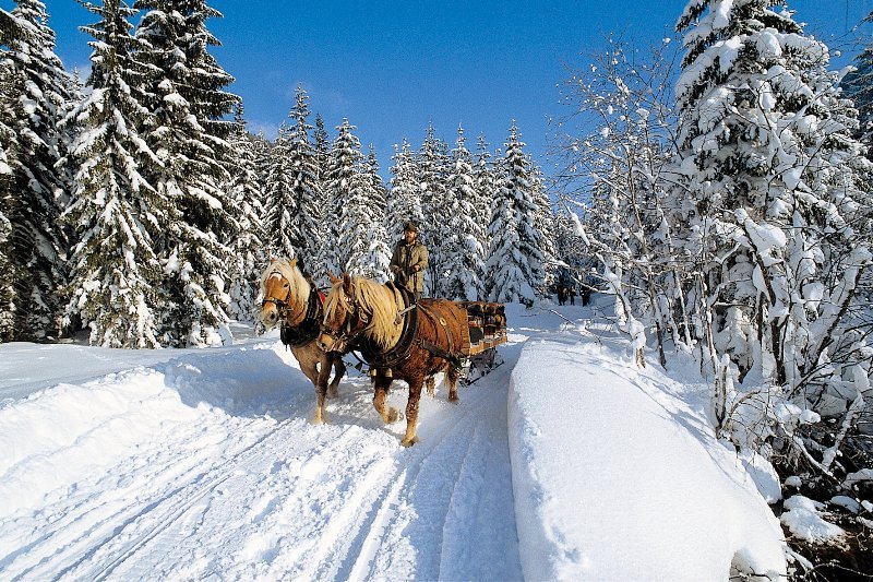 steiermark-15.jpg