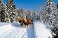 steiermark-15.jpg