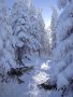 steiermark-18.JPG