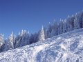 steiermark-20.JPG