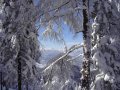 steiermark-21.JPG