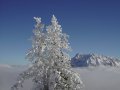 steiermark-27.JPG