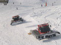 IMG_4238.JPG