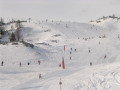 IMG_4239.JPG