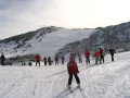 IMG_4241.JPG