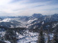 IMG_4283.JPG