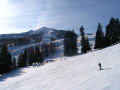 IMG_4315.JPG
