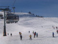 IMG_4322.JPG
