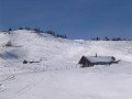 IMG_4329.JPG