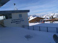 IMG_4331.JPG