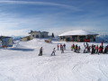 IMG_4333.JPG