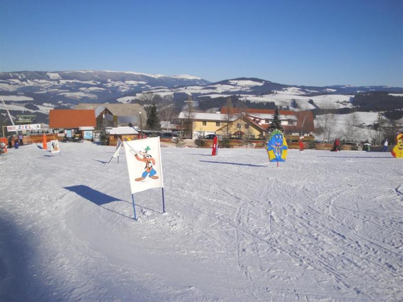 004-Large.jpg