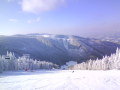 2009-12-20-105911.JPG