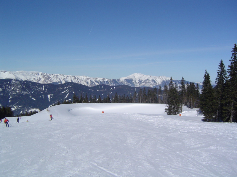 DSC00796.JPG