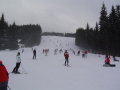 DSC00778.JPG