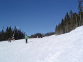 DSC00807.JPG