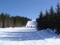 DSC00818.JPG