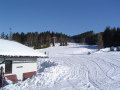 DSC00820.JPG